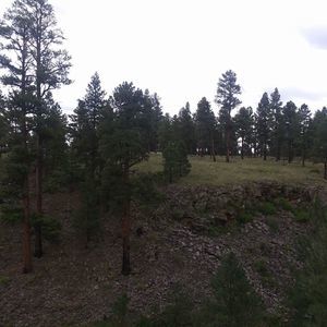 Meet your Posher, Rhonda